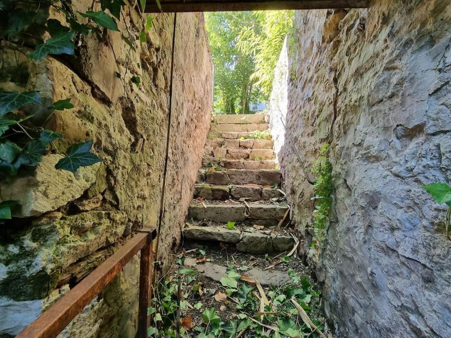 Elegance Provinoise Aux Pieds Des Remparts Classe Provins Esterno foto